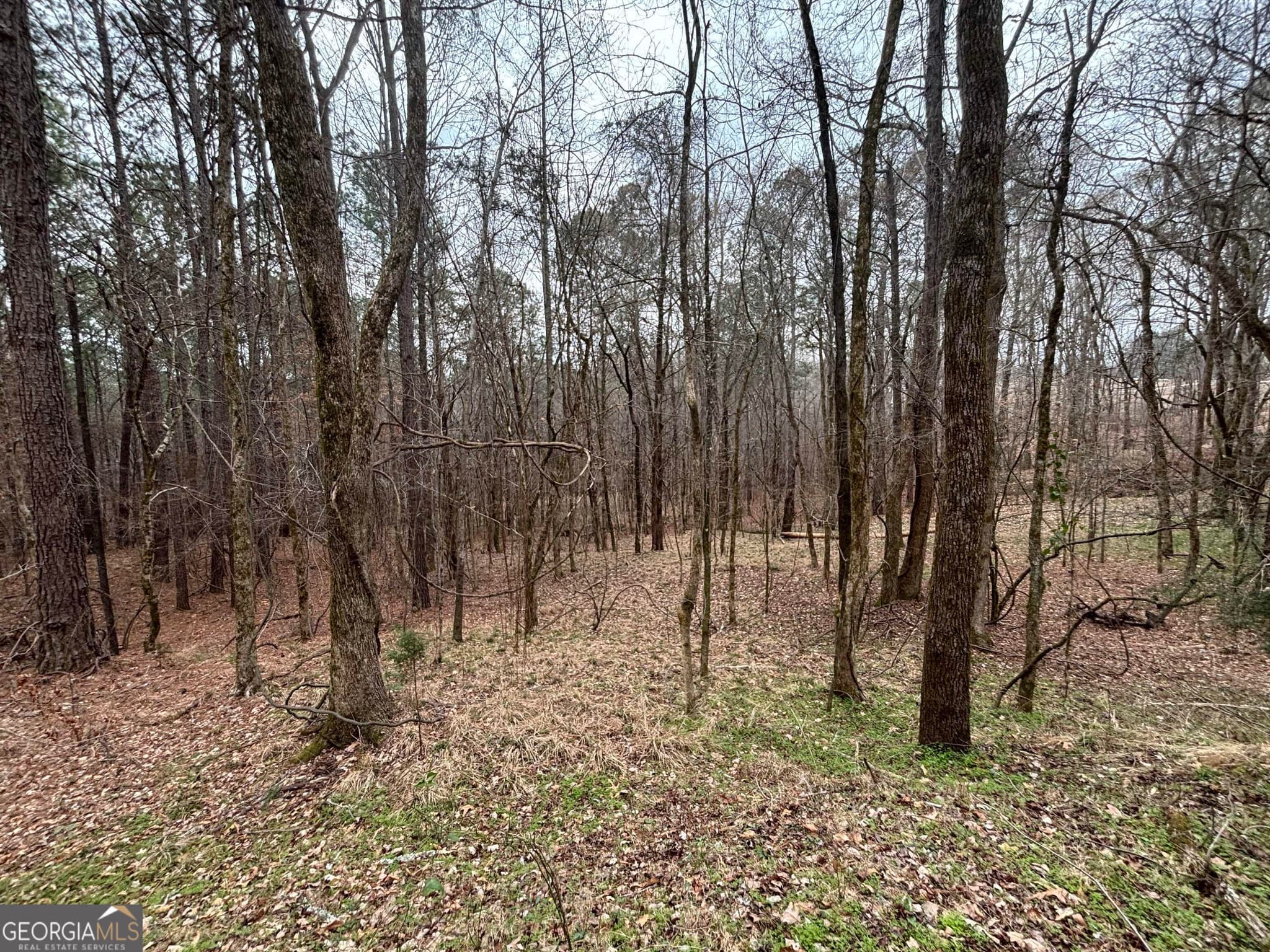 residential lot for sale at 0 Oconee Road LOT 3, Buckhead, GA 30625 — photo 6