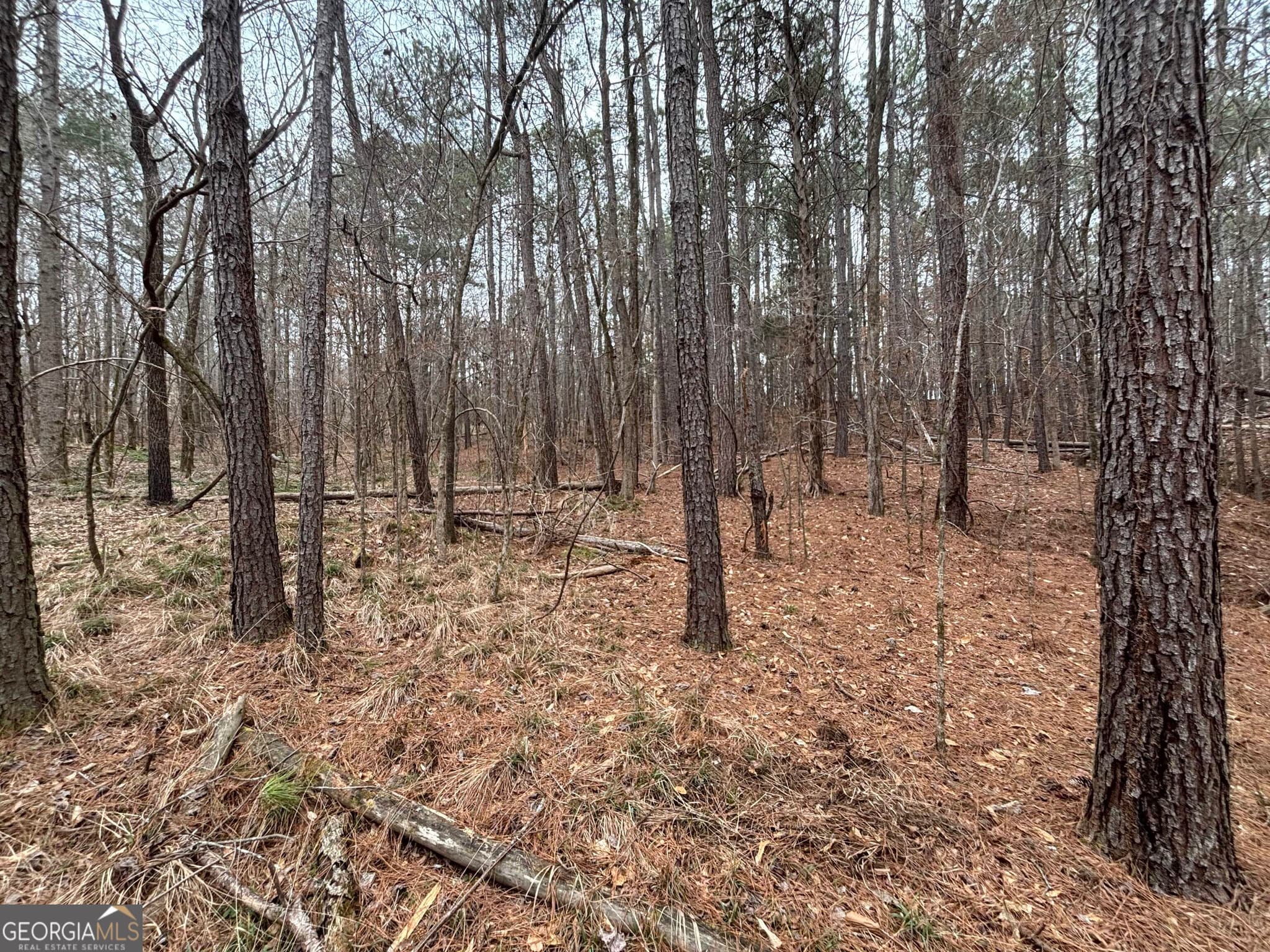 residential lot for sale at 0 Oconee Road LOT 3, Buckhead, GA 30625 — photo 3