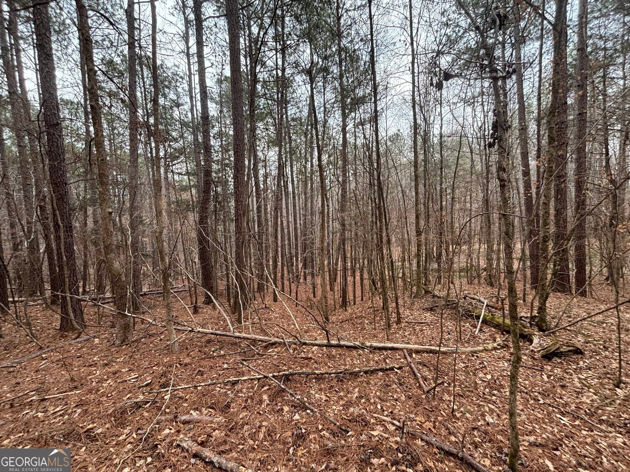 residential lot for sale at 0 Oconee Road LOT 3, Buckhead, GA 30625 — photo 5