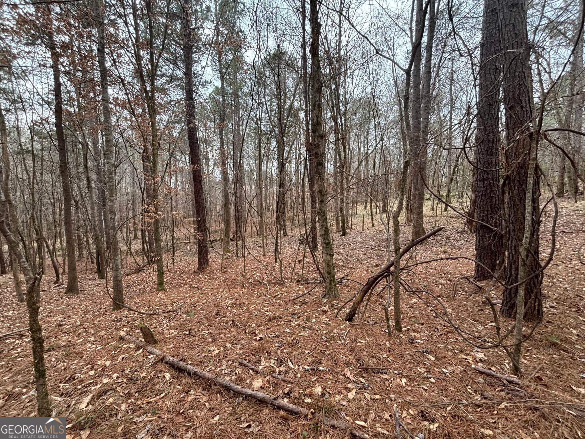residential lot for sale at 0 Oconee Road LOT 3, Buckhead, GA 30625 — photo 4