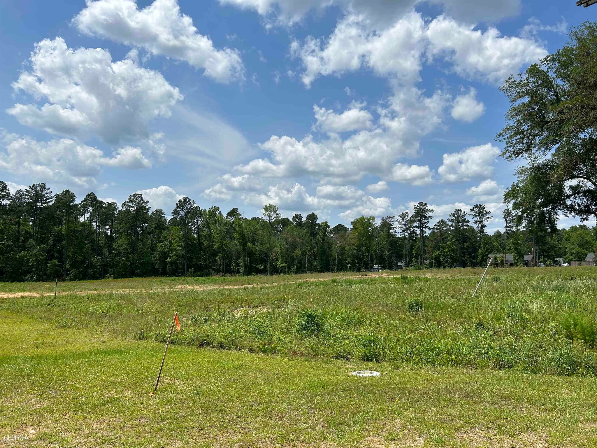 0 Mock Street LOT 3, Sylvania, GA 30467 — most recent listing photo