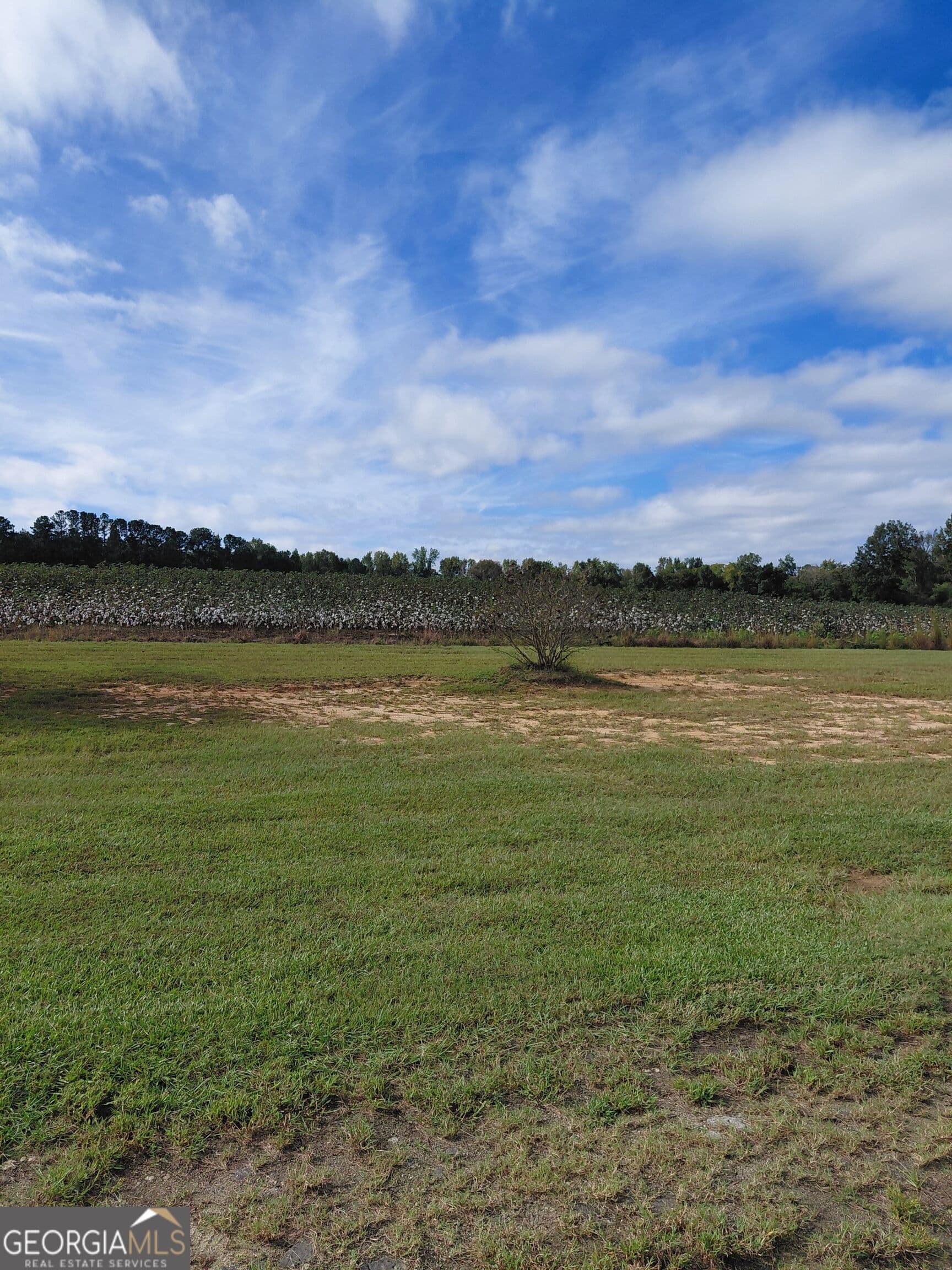 3 bedroom, 2 bathroom, 2,000 sq ft single family residence for sale at 3636 Fountain Springs Road, Millen, GA 30442 — photo 3