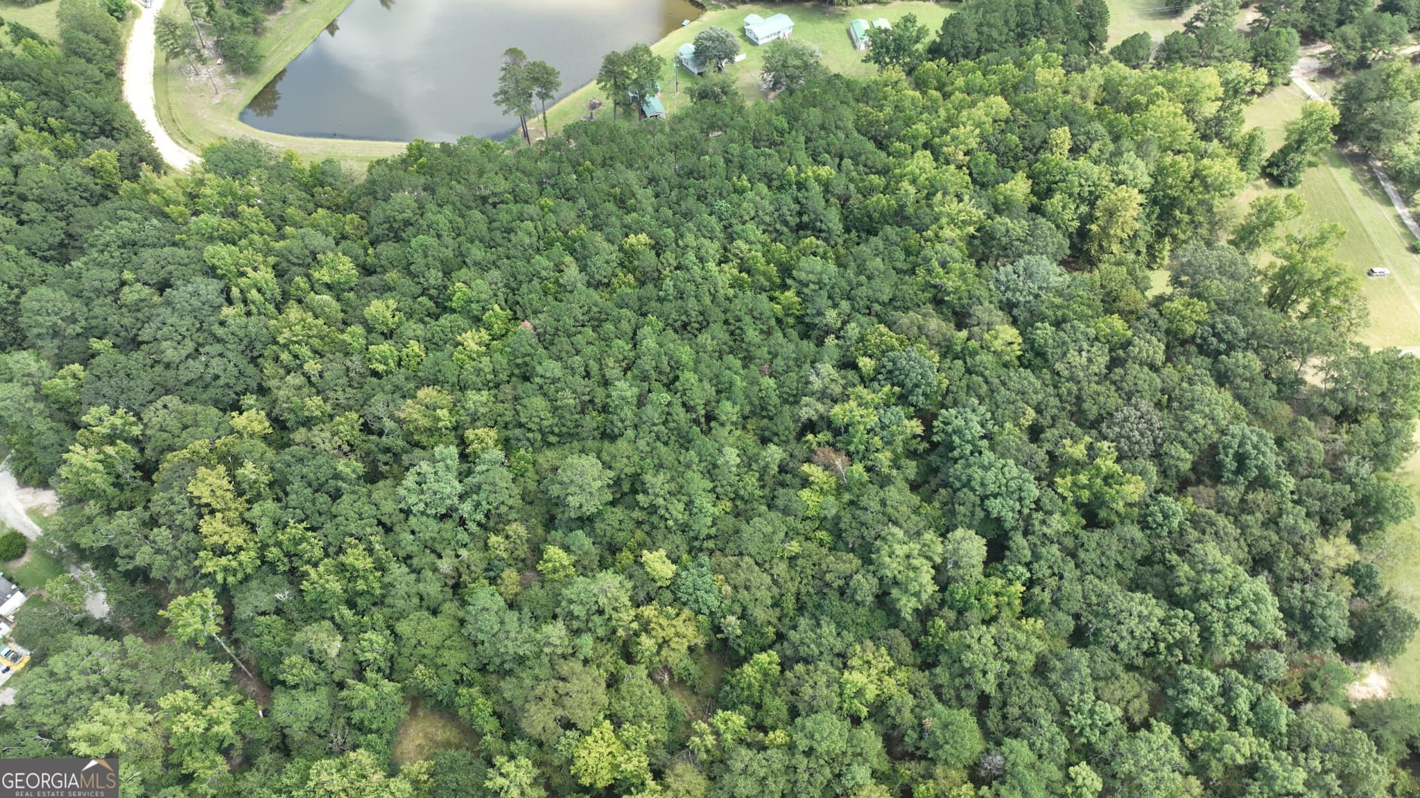 residential lot for sale at 0 Wilson Road, Warrenton, GA 30828 — photo 2