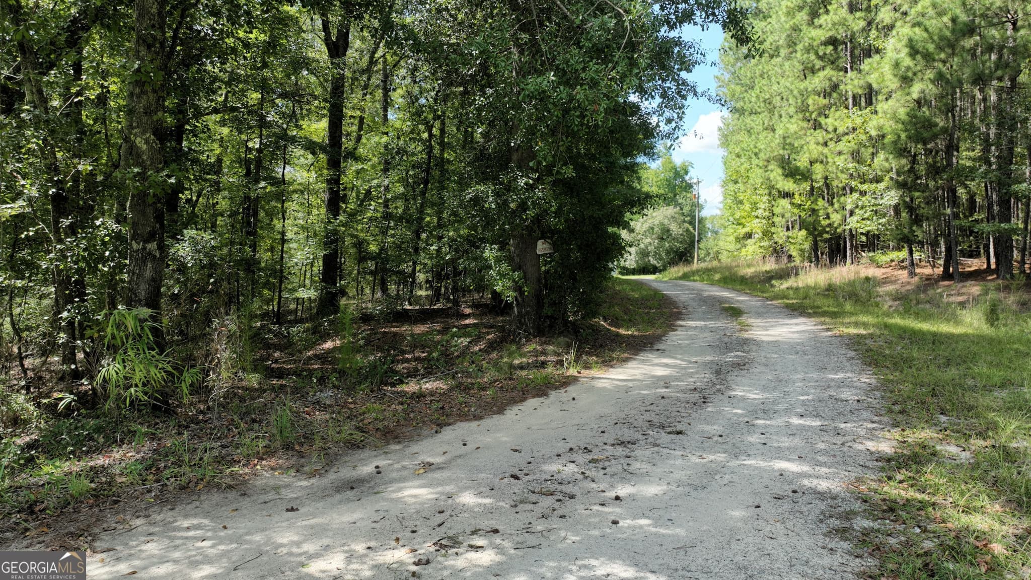 residential lot for sale at 0 Wilson Road, Warrenton, GA 30828 — photo 5