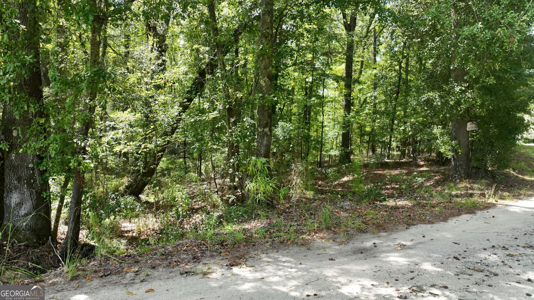 residential lot for sale at 0 Wilson Road, Warrenton, GA 30828 — photo 4