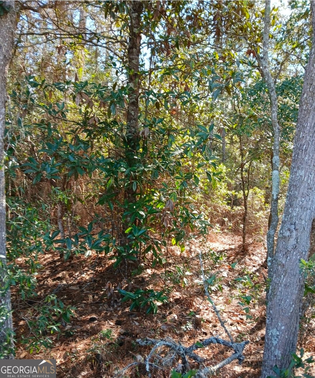 residential lot for sale at 0-LOT 1 Owen Spatcher Road LOT 1, Folkston, GA 31537 — photo 6