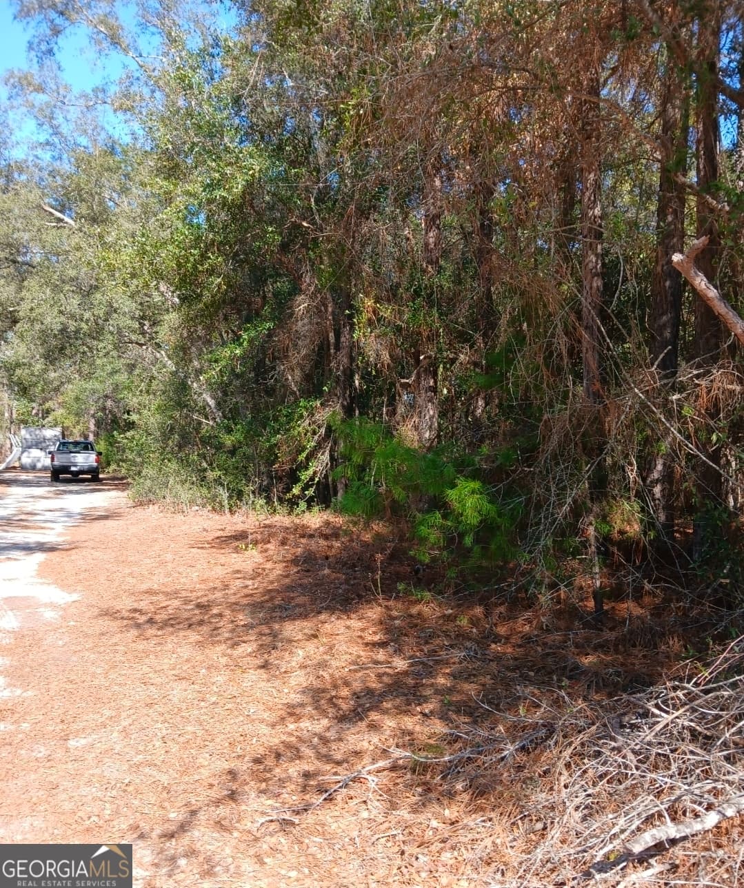 residential lot for sale at 0-LOT 1 Owen Spatcher Road LOT 1, Folkston, GA 31537 — photo 3