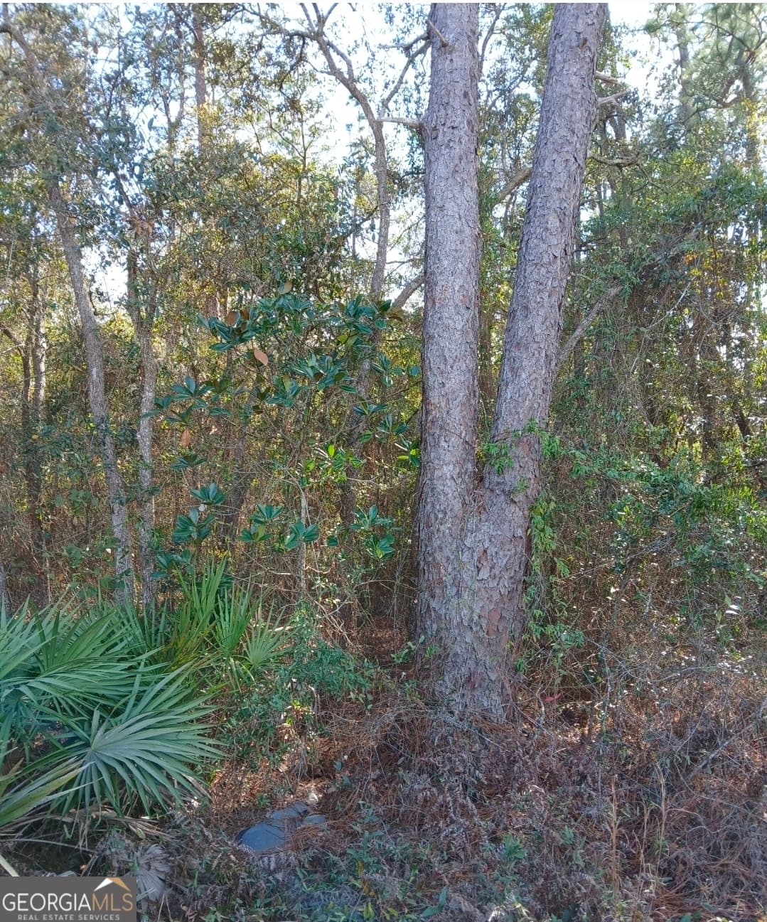residential lot for sale at 0-LOT 1 Owen Spatcher Road LOT 1, Folkston, GA 31537 — photo 10