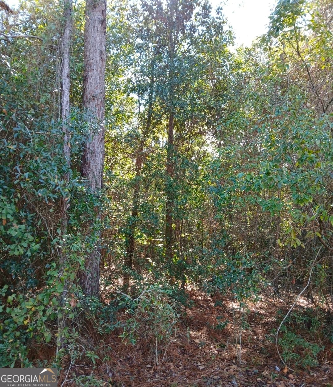residential lot for sale at 0-LOT 1 Owen Spatcher Road LOT 1, Folkston, GA 31537 — photo 8