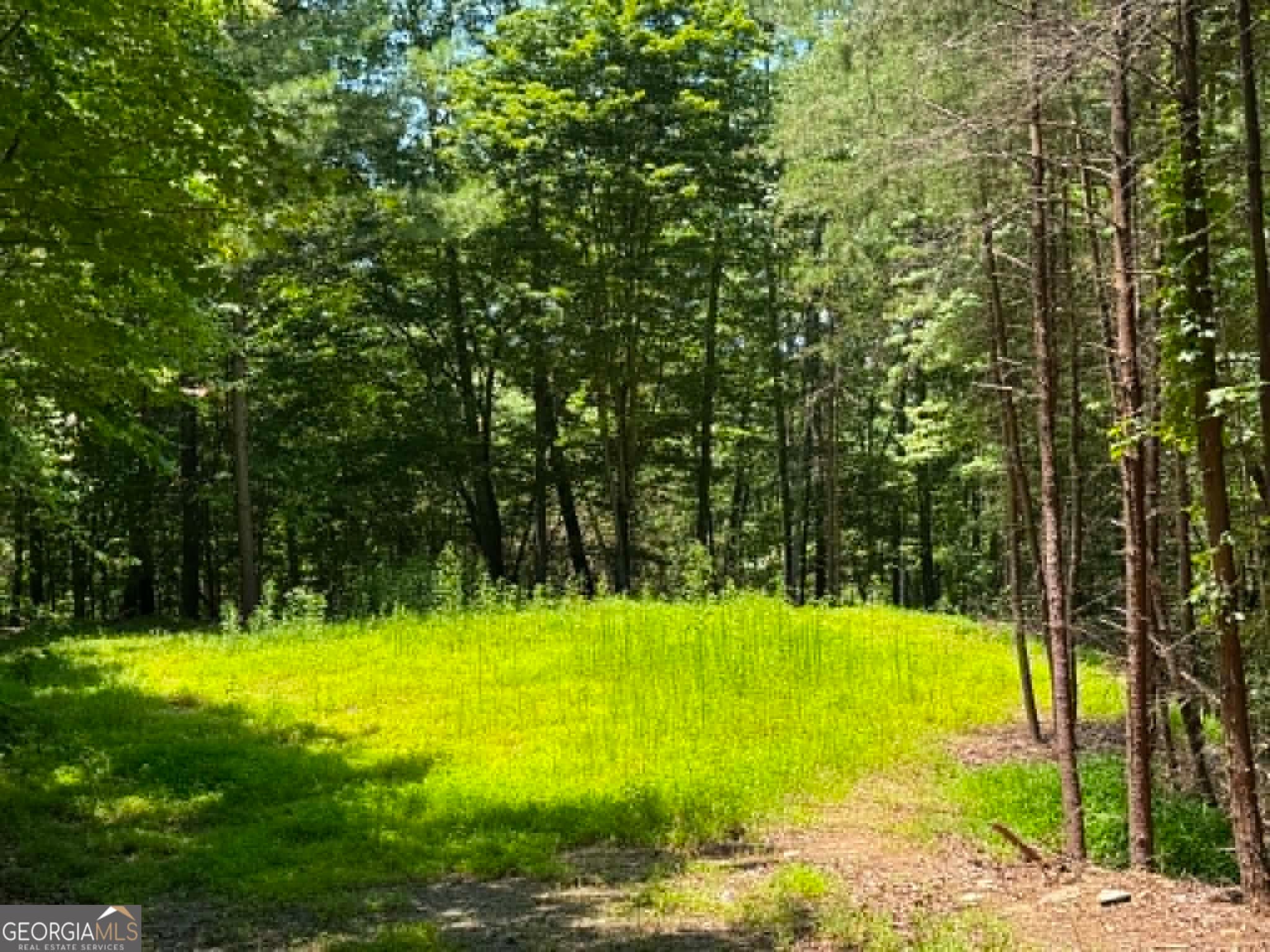 residential lot for sale at 1450 Hanna Drive, Ranger, GA 30734 — photo 2