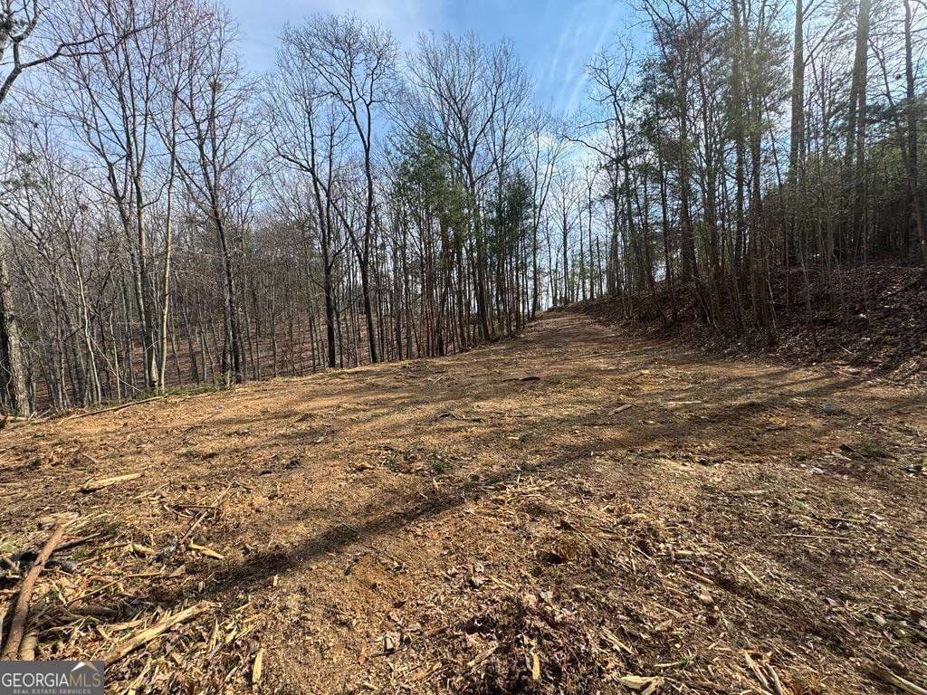 residential lot for sale at 1450 Hanna Drive, Ranger, GA 30734 — photo 6