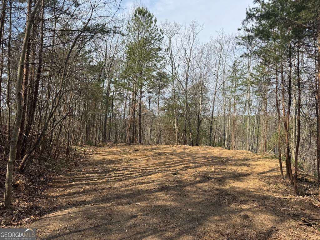 residential lot for sale at 1450 Hanna Drive, Ranger, GA 30734 — photo 7