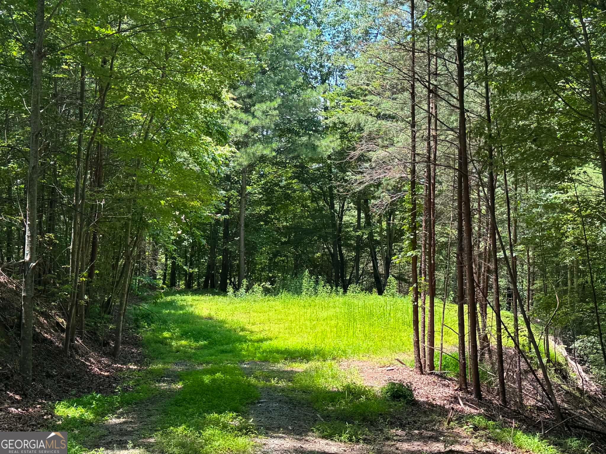residential lot for sale at 1450 Hanna Drive, Ranger, GA 30734 — photo 3