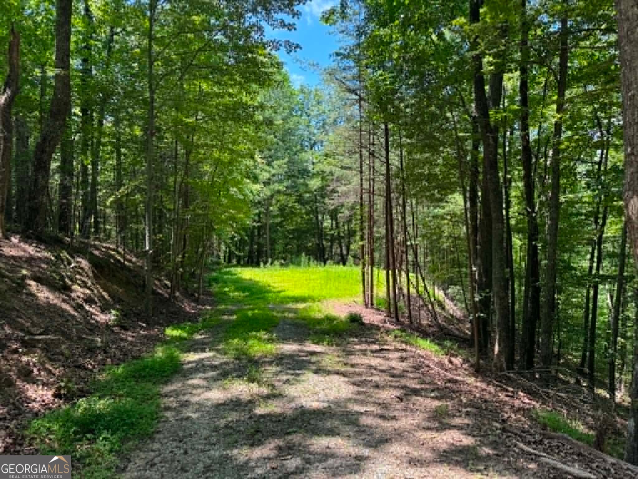 residential lot for sale at 1450 Hanna Drive, Ranger, GA 30734 — photo 1 of 37