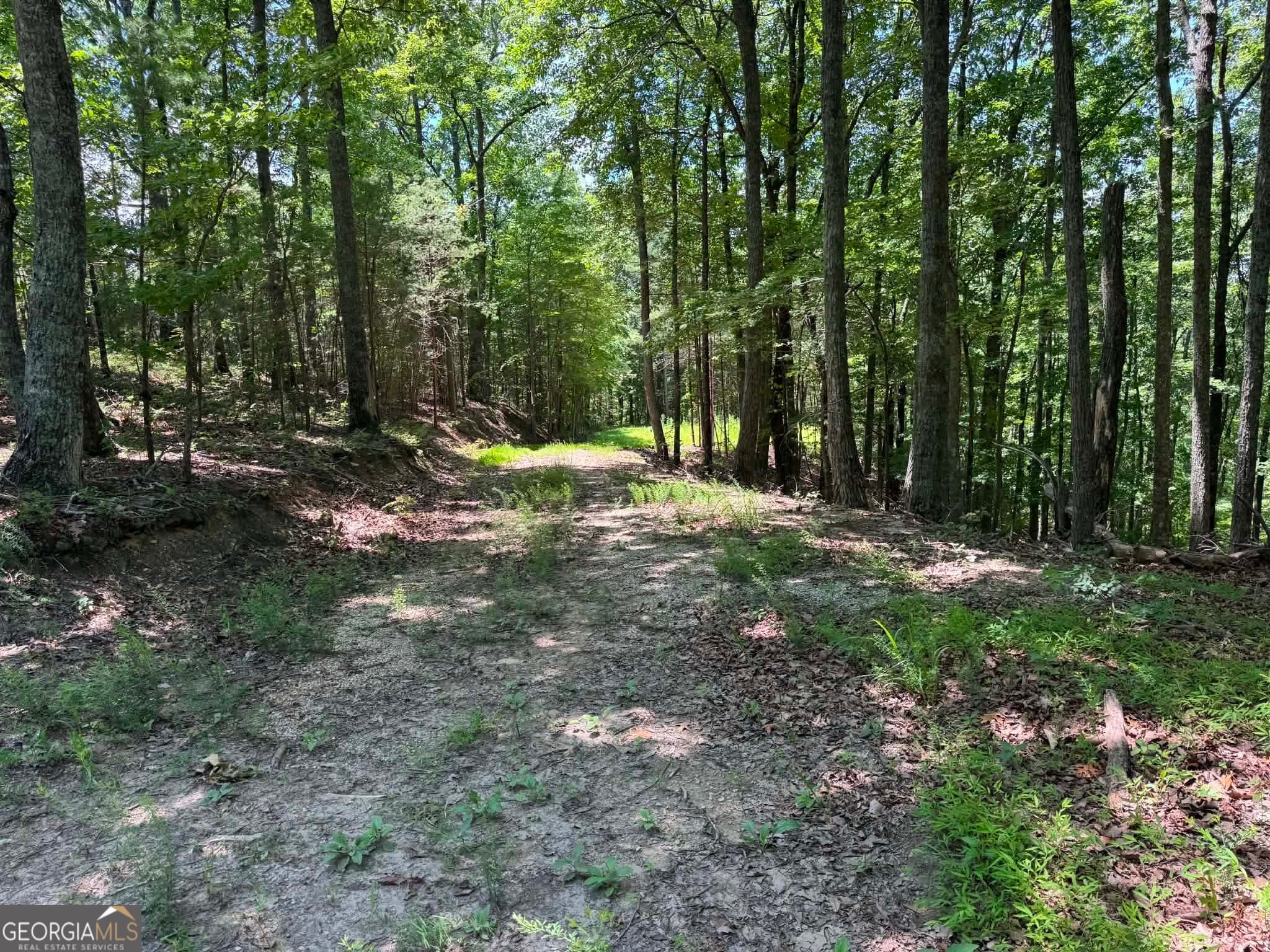 residential lot for sale at 1450 Hanna Drive, Ranger, GA 30734 — photo 5