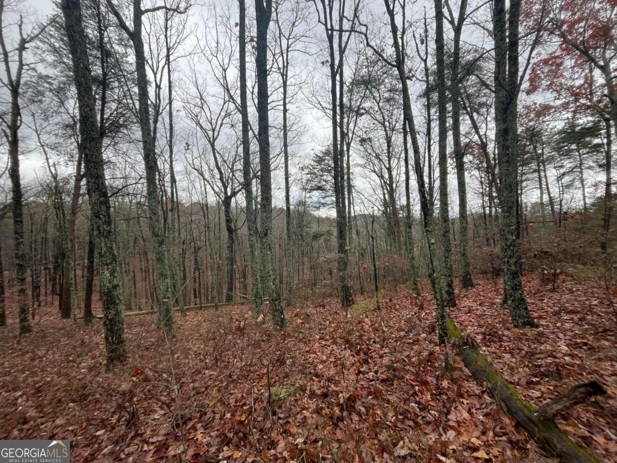 residential lot for sale at 1450 Hanna Drive, Ranger, GA 30734 — photo 9