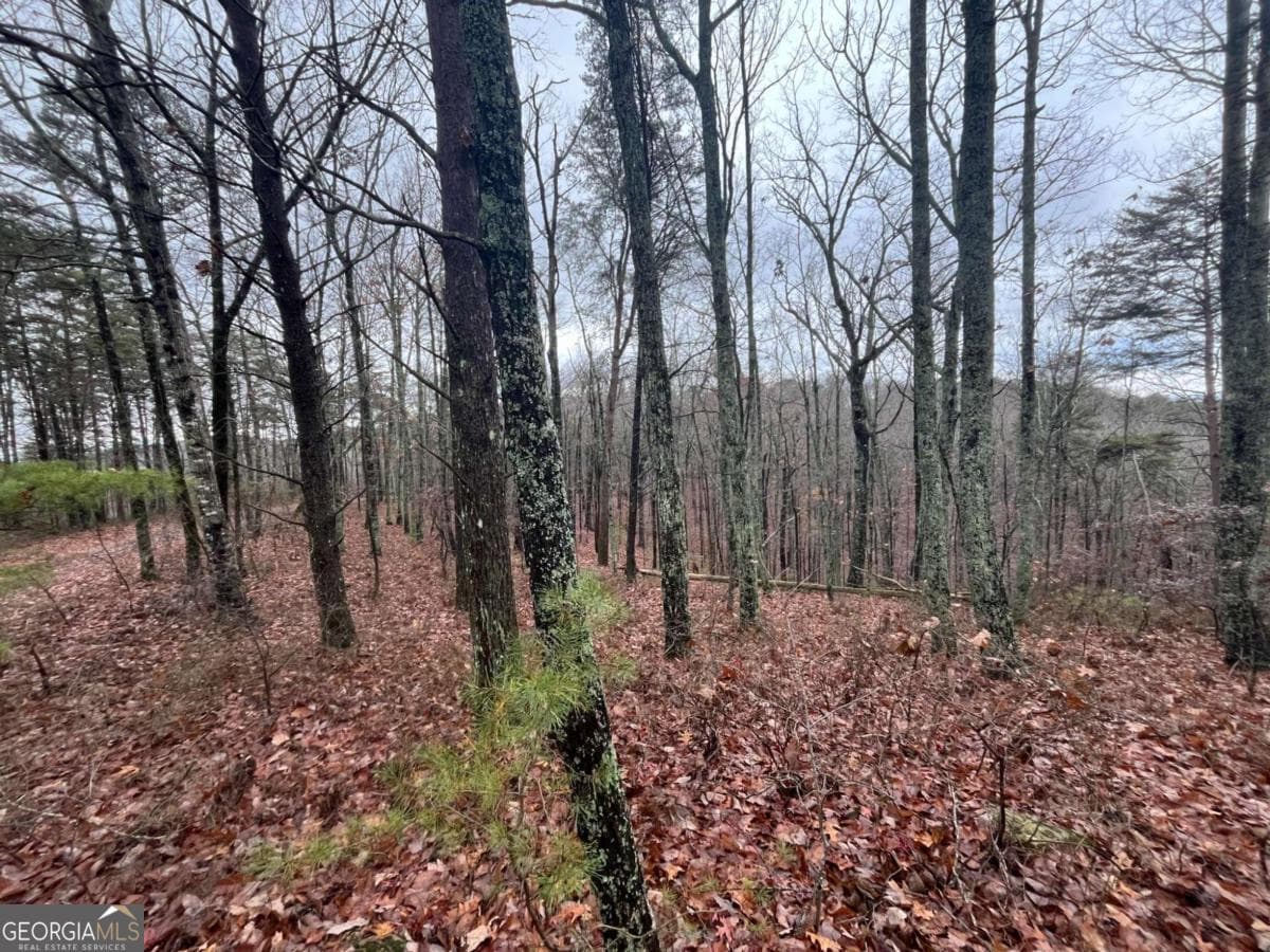 residential lot for sale at 1450 Hanna Drive, Ranger, GA 30734 — photo 10