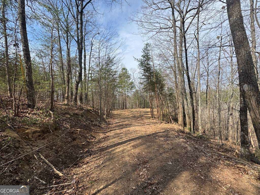 residential lot for sale at 1450 Hanna Drive, Ranger, GA 30734 — photo 8