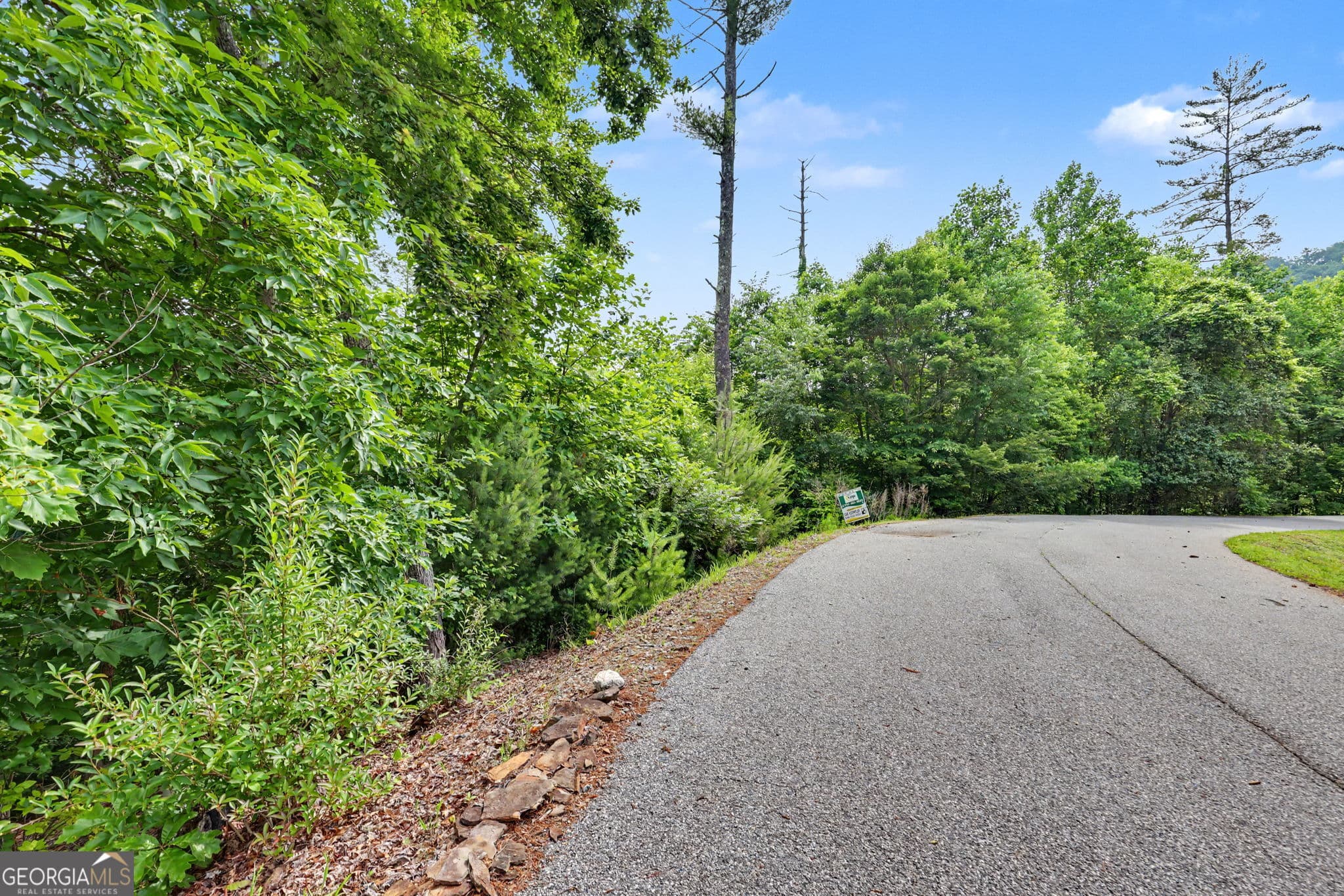 residential lot for sale at 56 Walker Ridge Way, Mineral Bluff, GA 30559 — photo 2