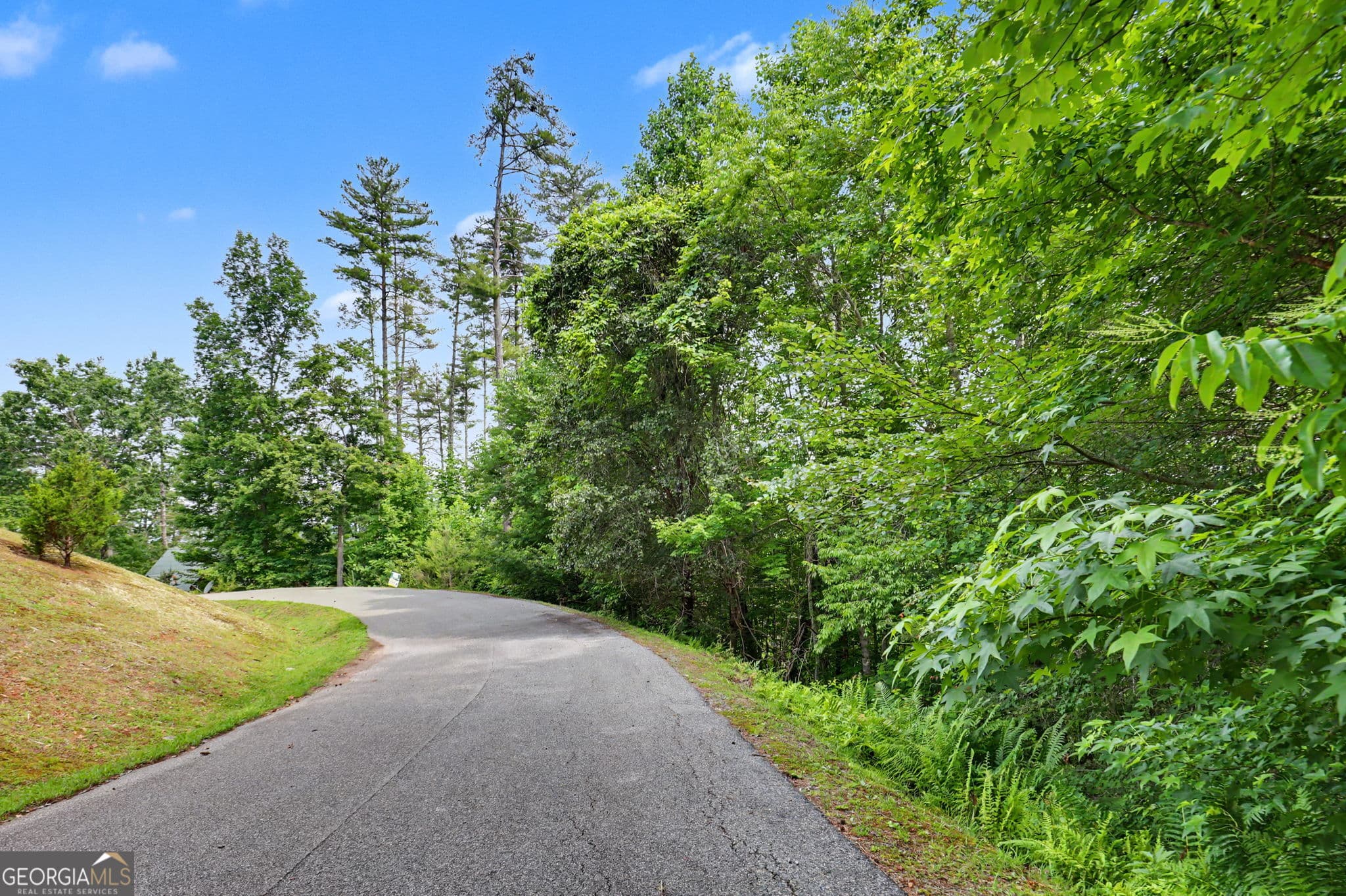 residential lot for sale at 56 Walker Ridge Way, Mineral Bluff, GA 30559 — photo 1 of 21