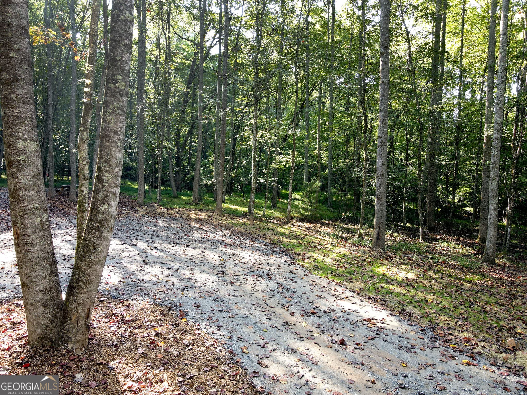 unimproved land for sale at 174 Boyd Hollow Drive, Blairsville, GA 30512 — photo 6