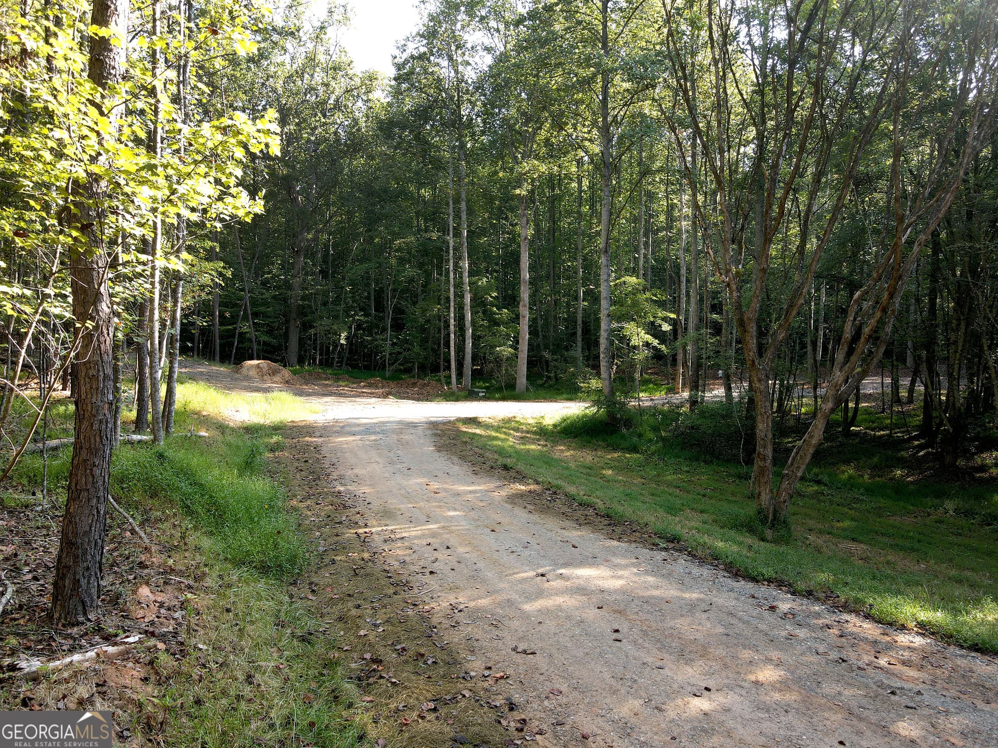unimproved land for sale at 174 Boyd Hollow Drive, Blairsville, GA 30512 — photo 3