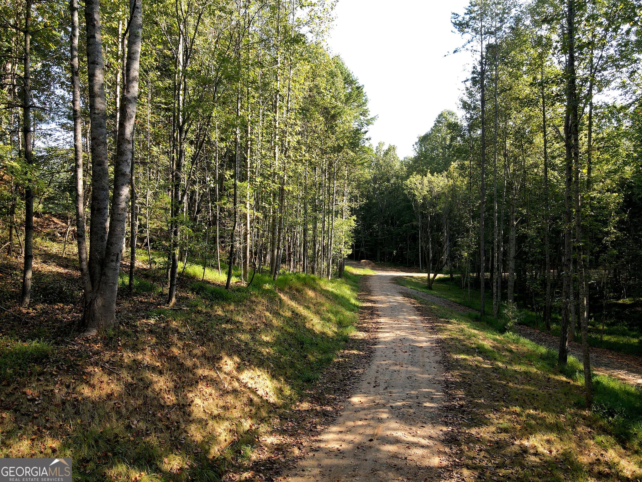 unimproved land for sale at 174 Boyd Hollow Drive, Blairsville, GA 30512 — photo 1 of 24