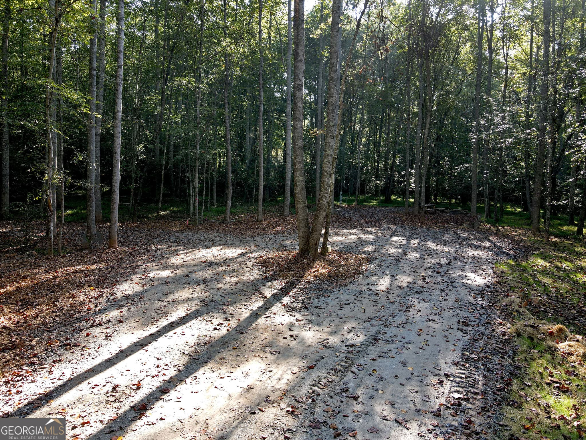unimproved land for sale at 174 Boyd Hollow Drive, Blairsville, GA 30512 — photo 5