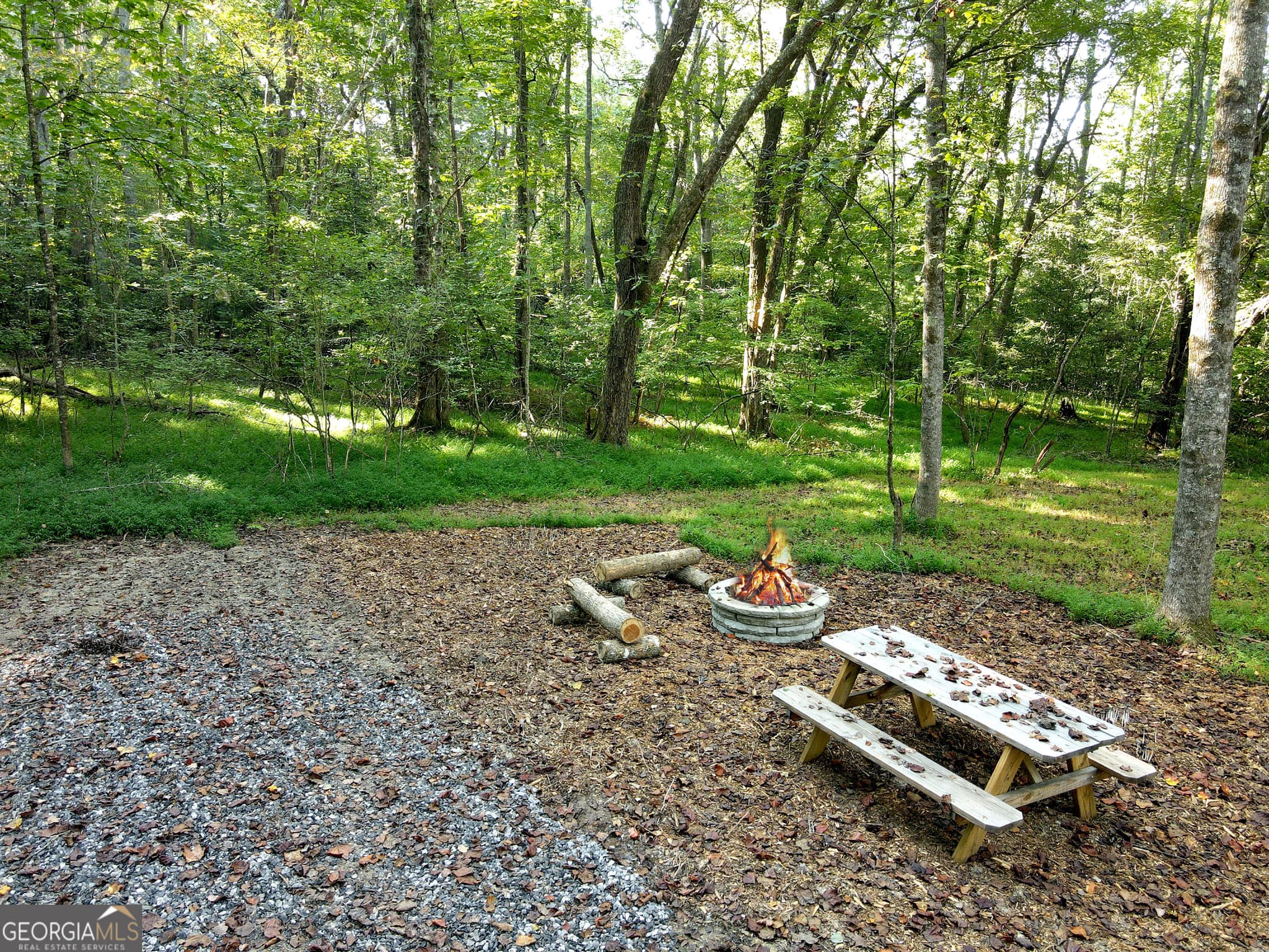 unimproved land for sale at 174 Boyd Hollow Drive, Blairsville, GA 30512 — photo 10