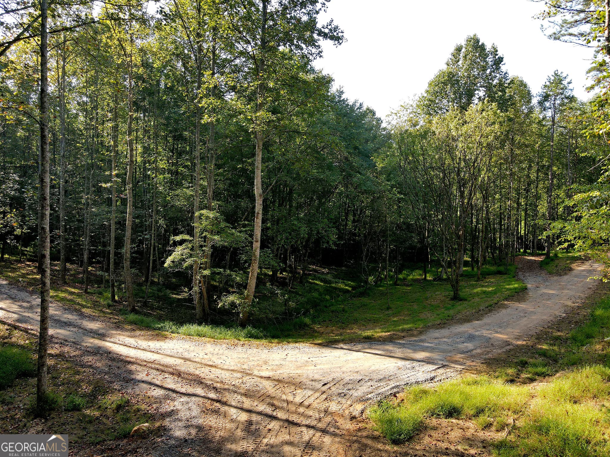 unimproved land for sale at 174 Boyd Hollow Drive, Blairsville, GA 30512 — photo 4