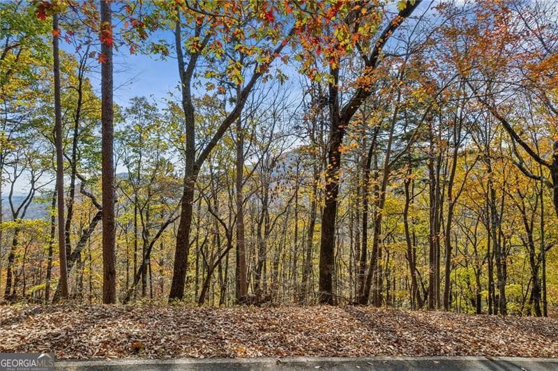 4 bedroom, 4 bathroom, 2,434 sq ft single family residence for sale at 6057 Crested Iris Circle, Big Canoe, GA 30143 — photo 7