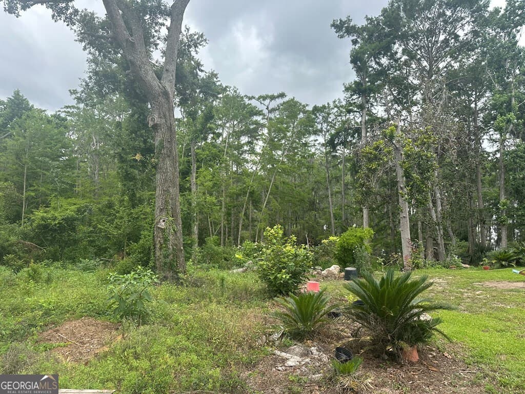 residential lot for sale at LOT 26 Cypress Lakes Drive, Lake Park, GA 31636 — photo 2