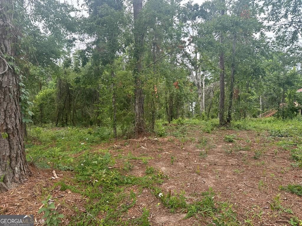 residential lot for sale at LOT 26 Cypress Lakes Drive, Lake Park, GA 31636 — photo 6