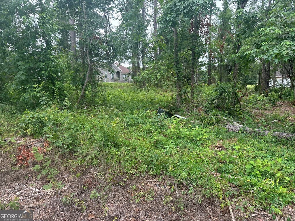residential lot for sale at LOT 26 Cypress Lakes Drive, Lake Park, GA 31636 — photo 3
