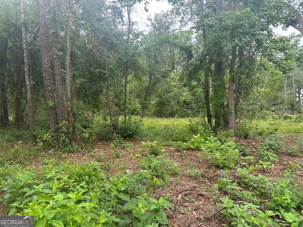 residential lot for sale at LOT 26 Cypress Lakes Drive, Lake Park, GA 31636 — photo 4