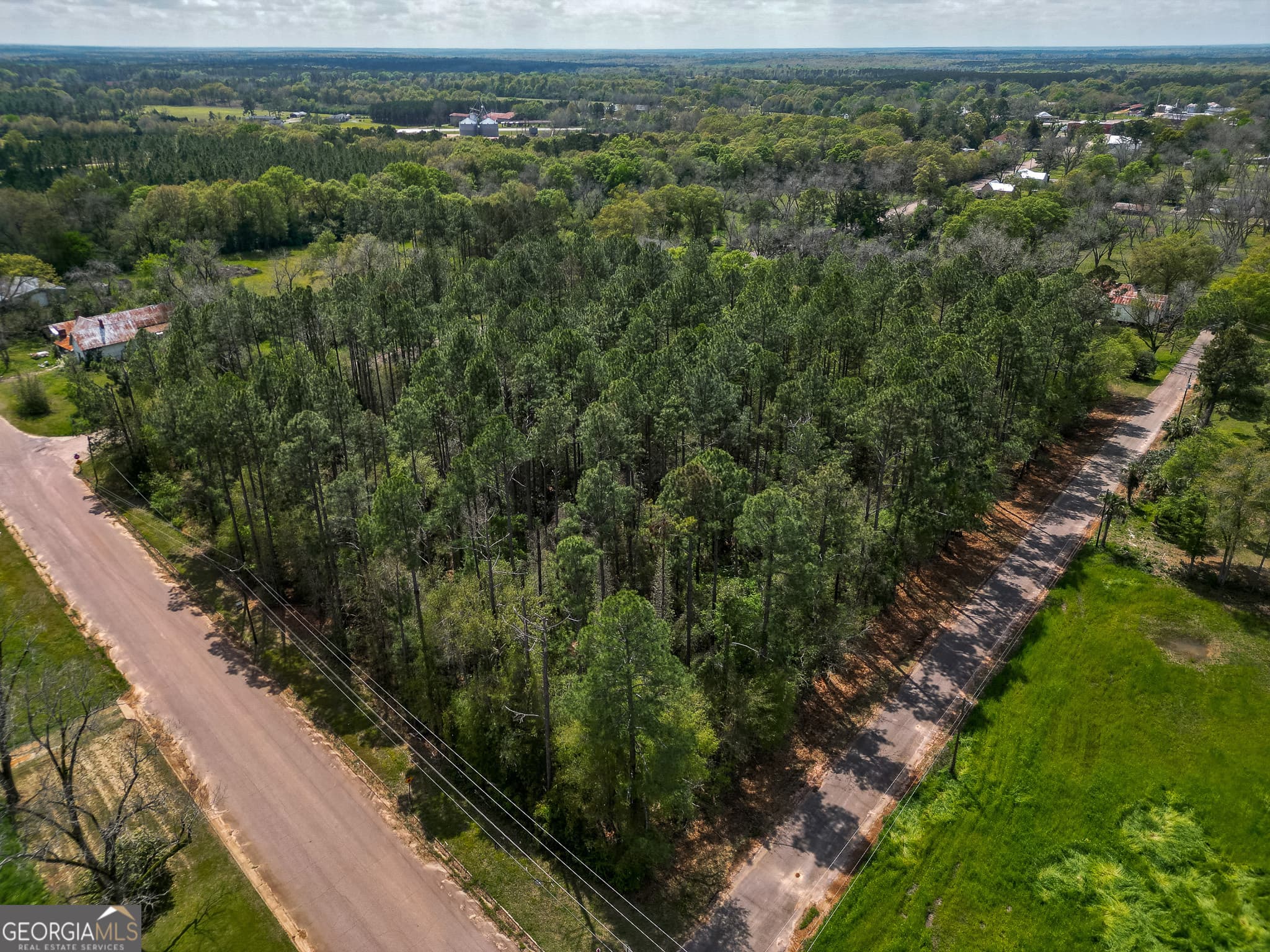 agriculture under contract at 109 Main Street, Parrott, GA 39877 — photo 2