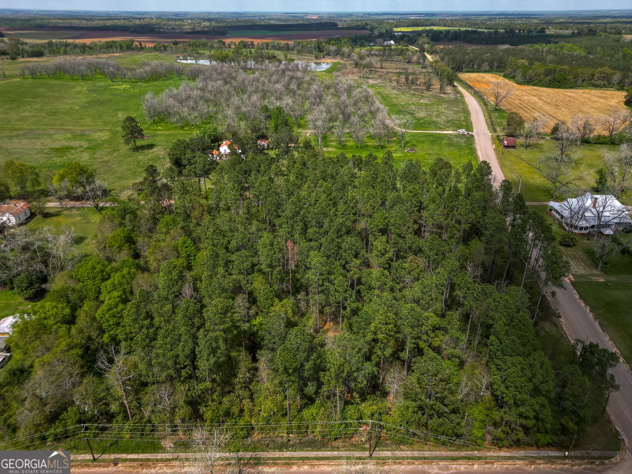 agriculture under contract at 109 Main Street, Parrott, GA 39877 — photo 6