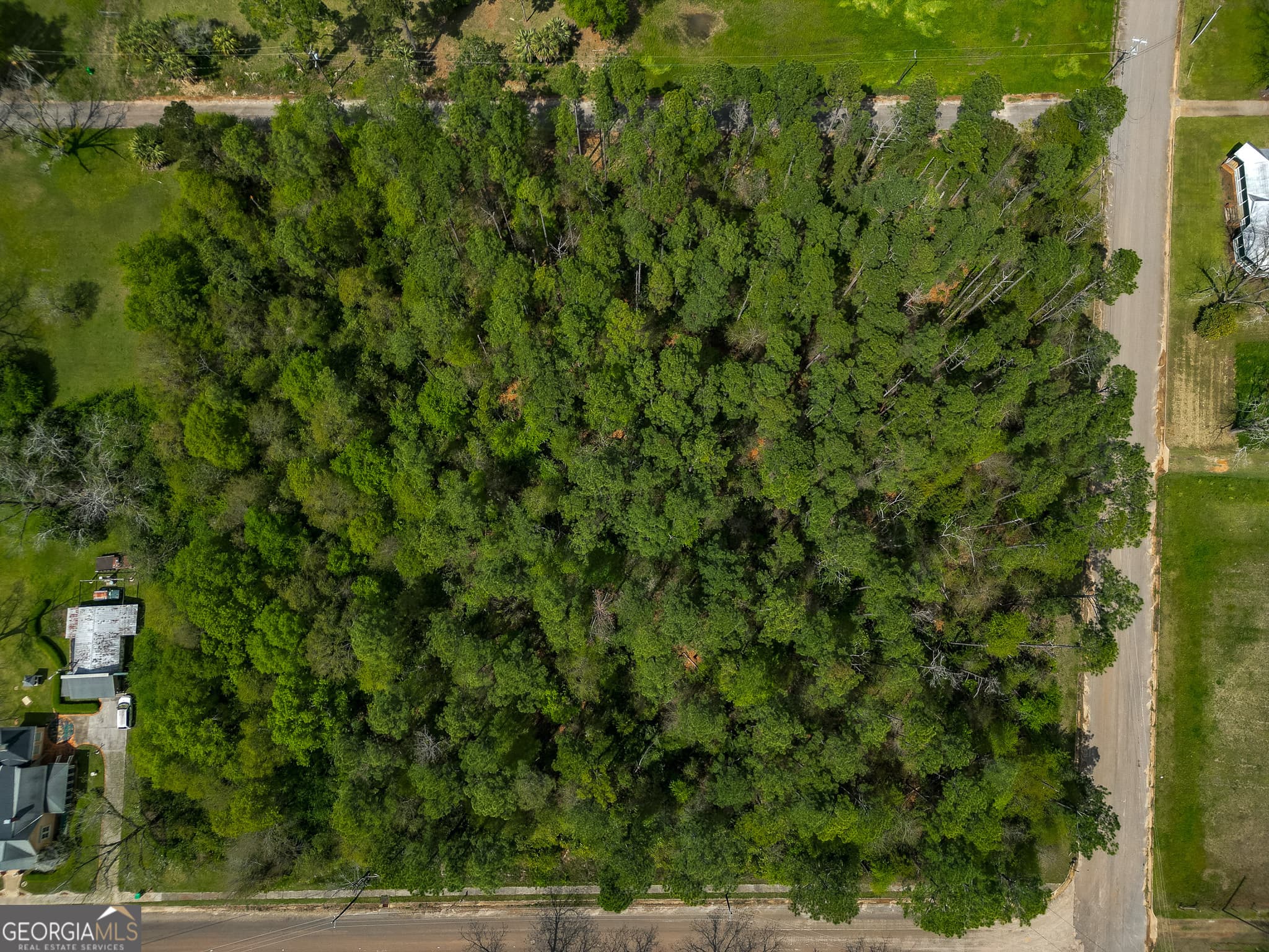 agriculture under contract at 109 Main Street, Parrott, GA 39877 — photo 7
