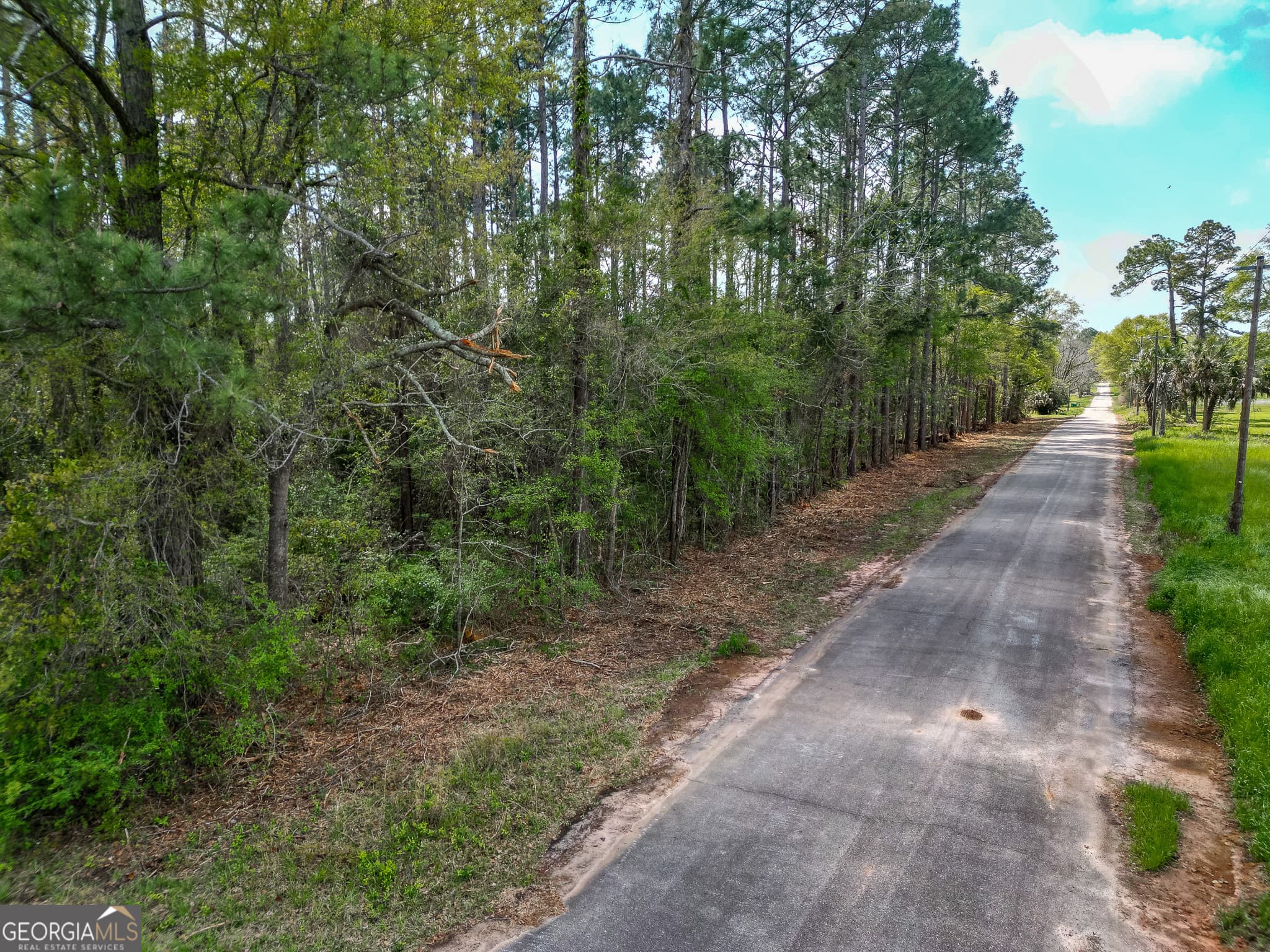 agriculture under contract at 109 Main Street, Parrott, GA 39877 — photo 3