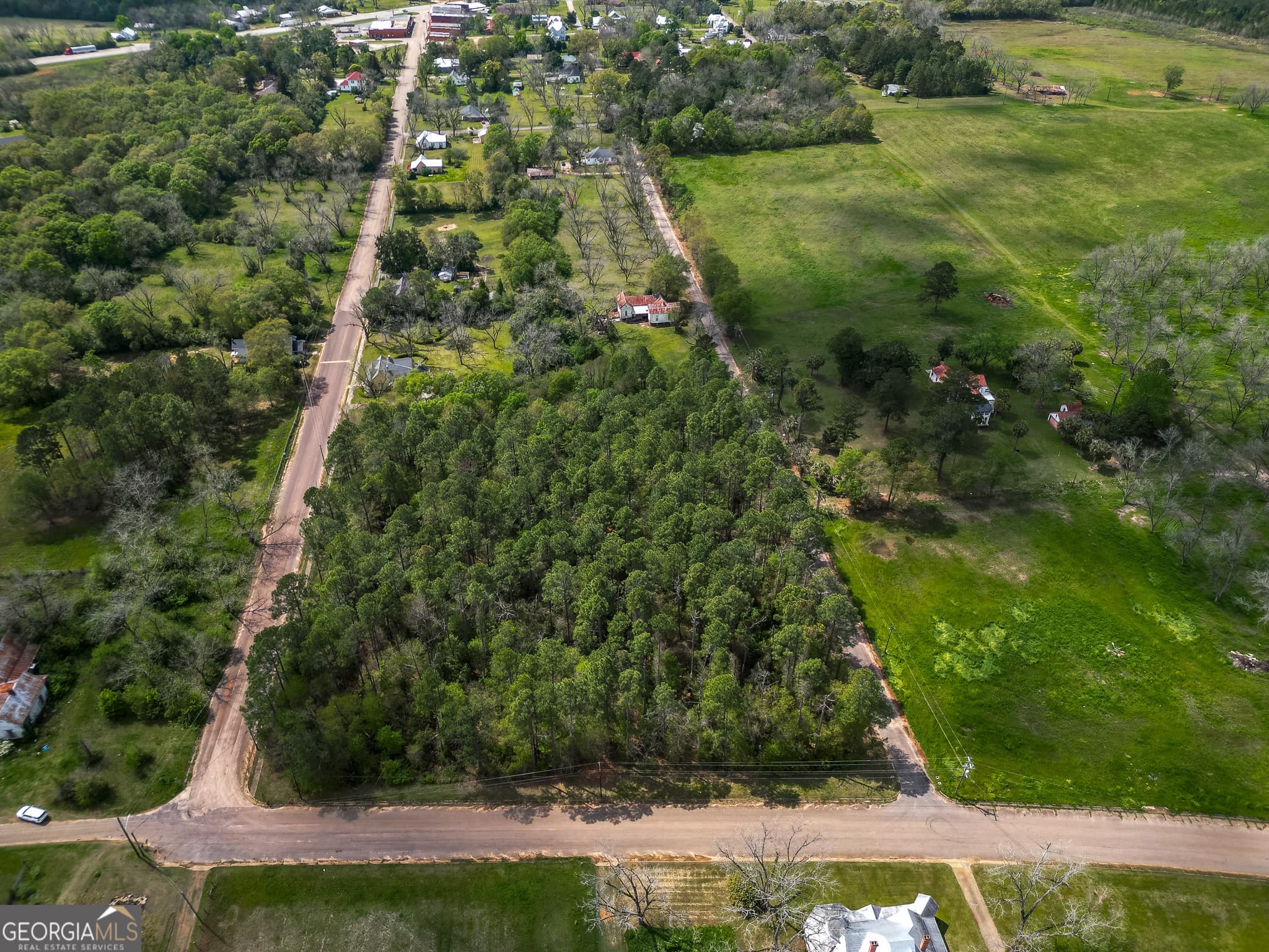 agriculture under contract at 109 Main Street, Parrott, GA 39877 — photo 5