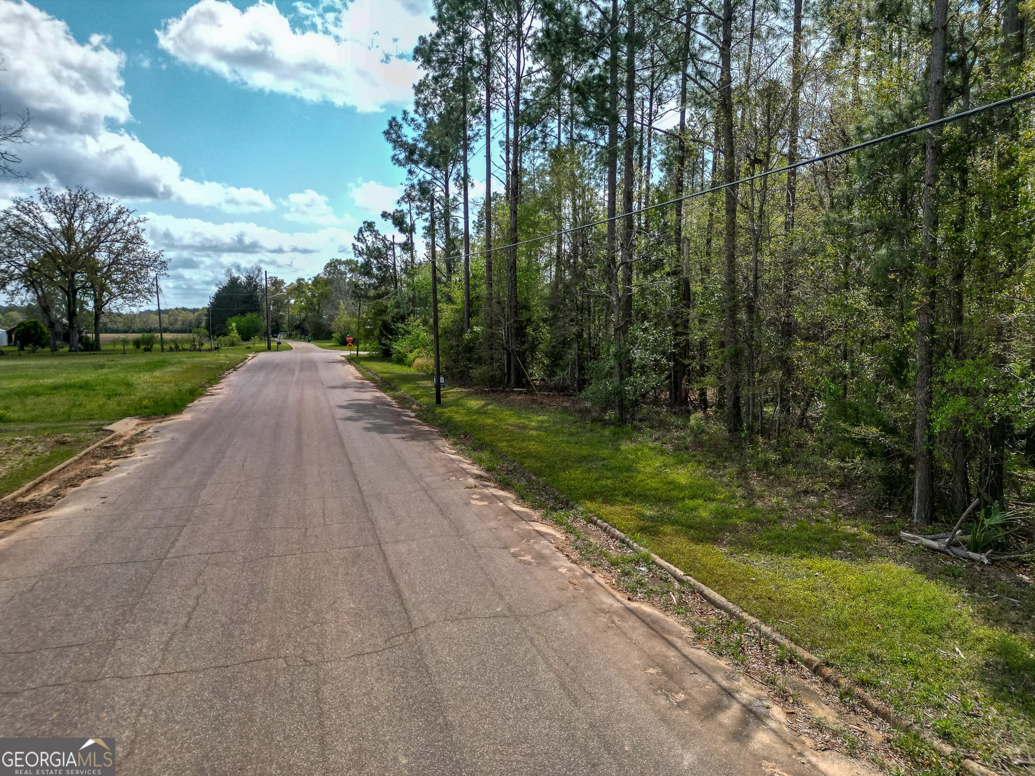 agriculture under contract at 109 Main Street, Parrott, GA 39877 — photo 4