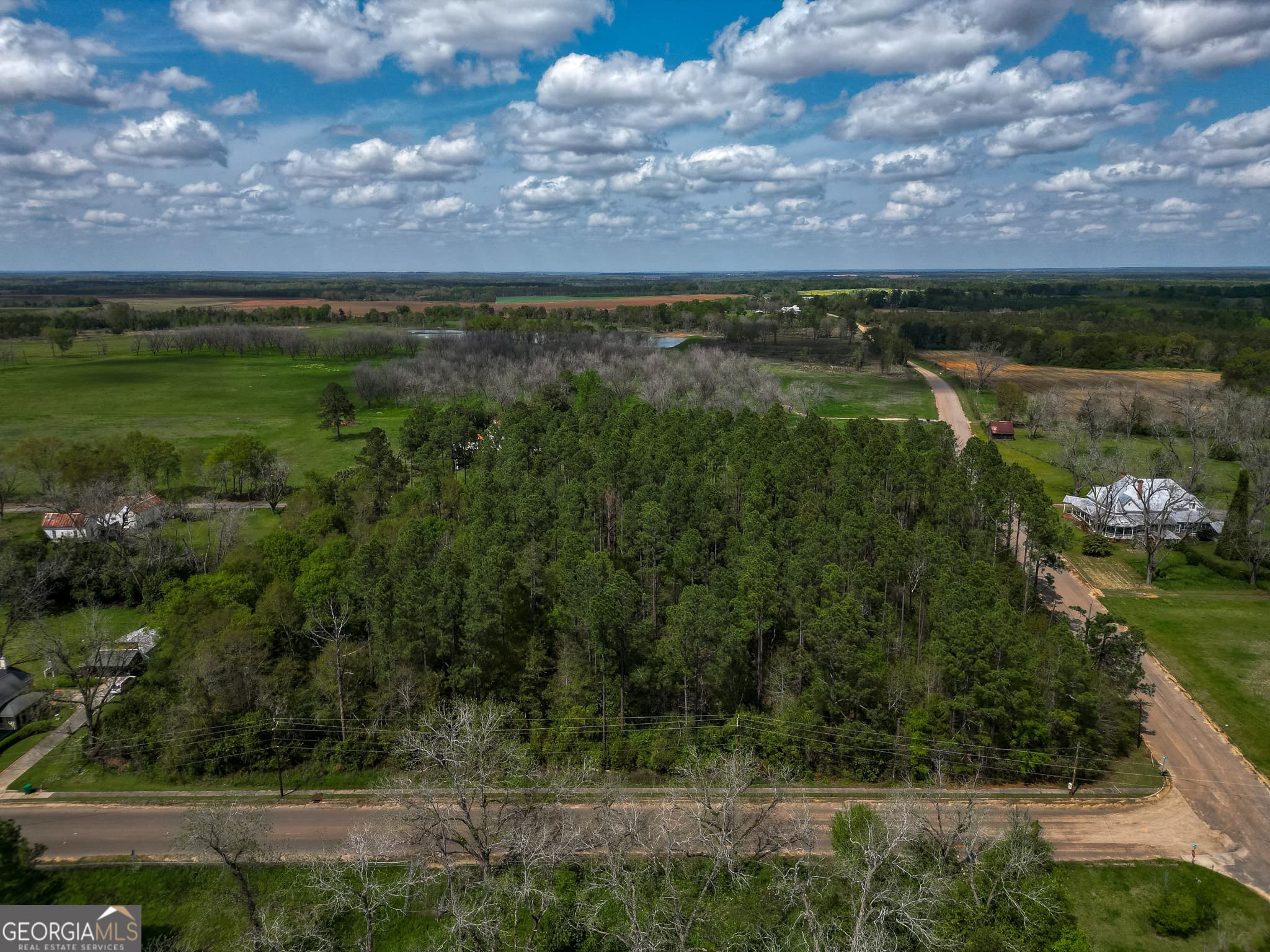 agriculture under contract at 109 Main Street, Parrott, GA 39877 — photo 8