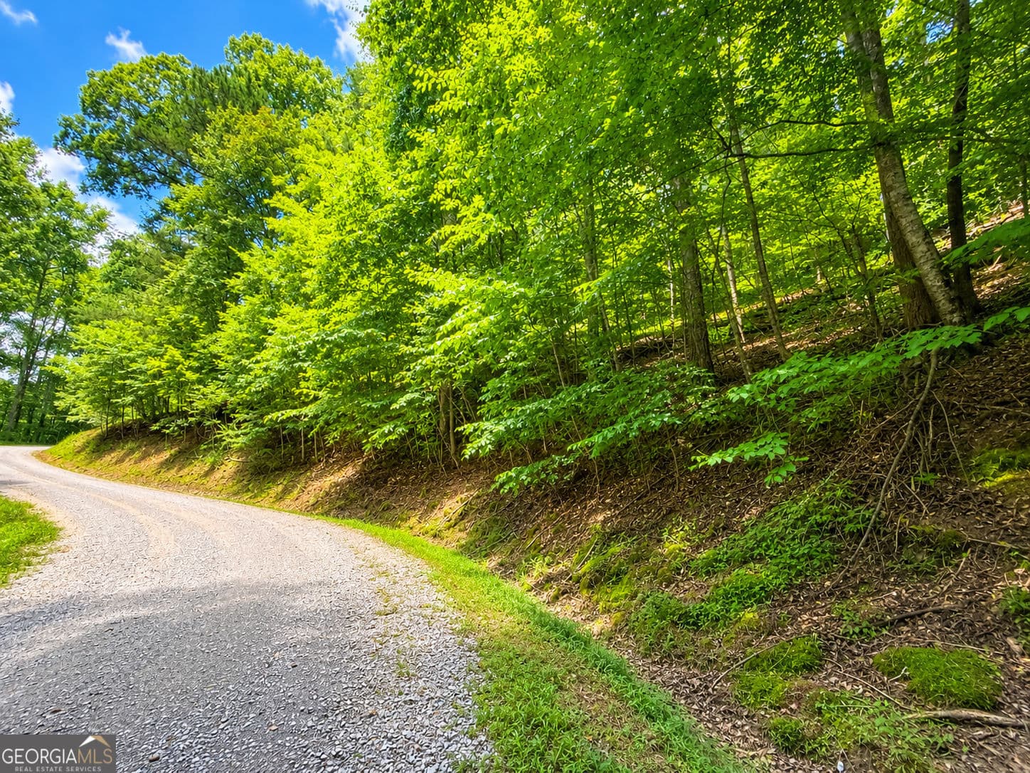 residential lot for sale at LT1249 Fugue Drive, Ellijay, GA 30540 — photo 9