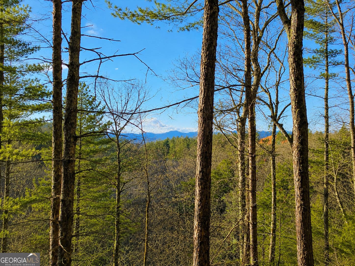 residential lot for sale at LT1249 Fugue Drive, Ellijay, GA 30540 — photo 10