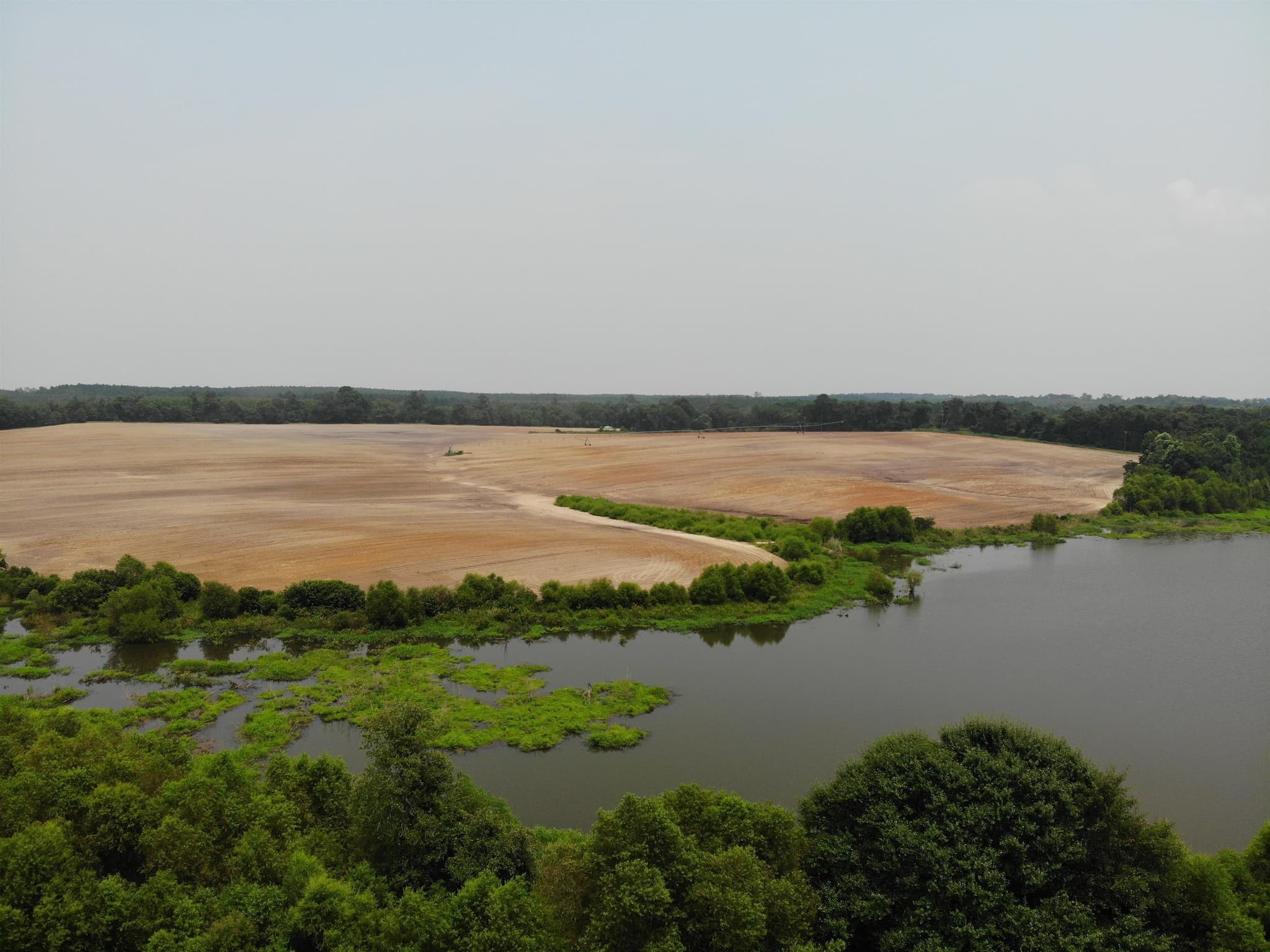 agriculture sold at 0 Neily Wagon Road, Mcrae-Helena, GA 31055