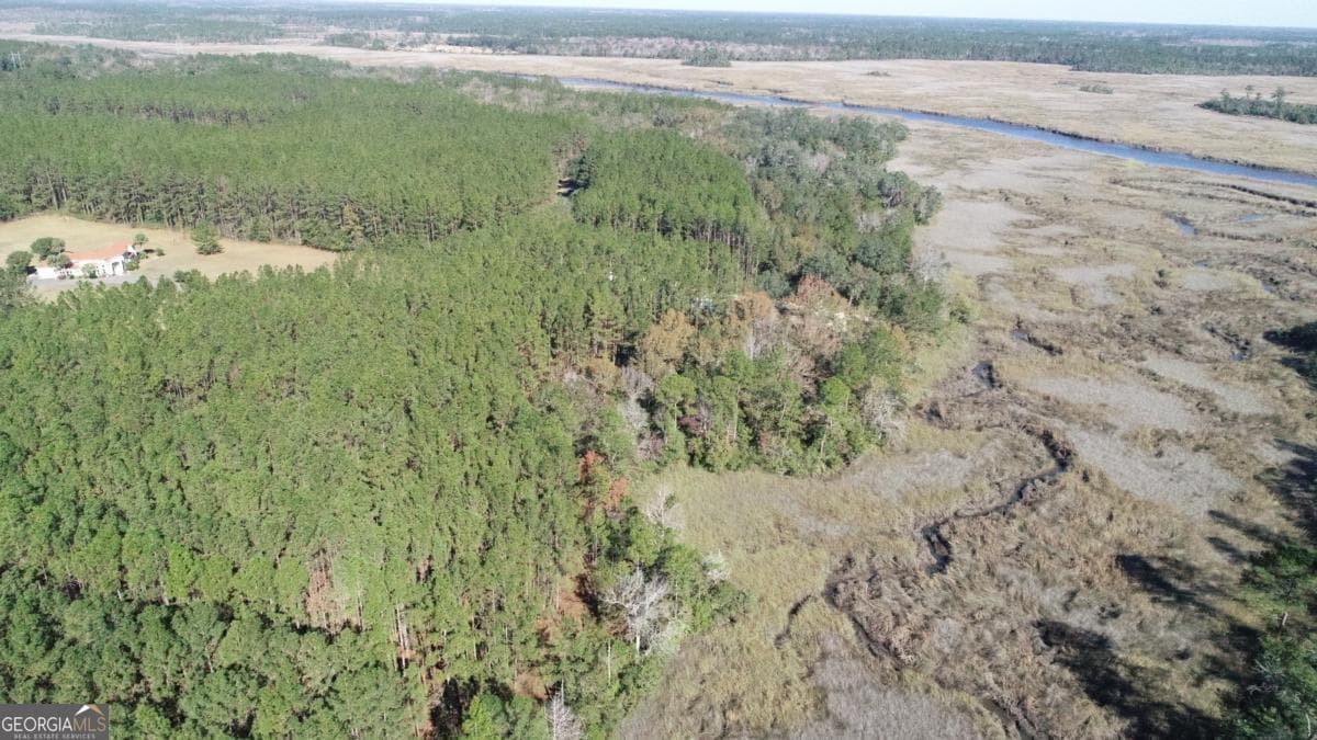 residential lot for sale at LOT 14 Waverly Lane, White Oak, GA 31568 — photo 3