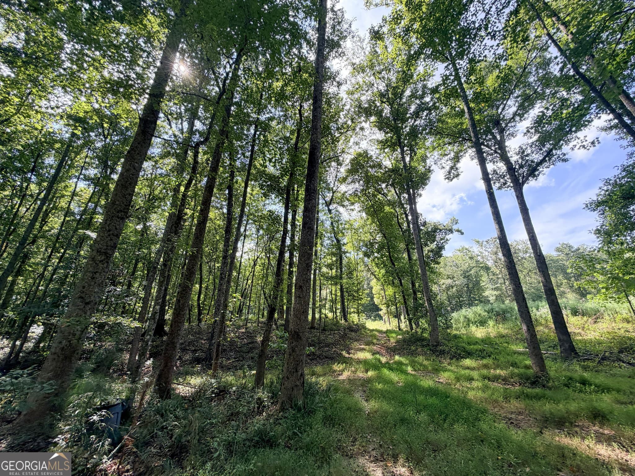 residential lot for sale at 1620 Cross Plains Hulett Road, Carrollton, GA 30116 — photo 2