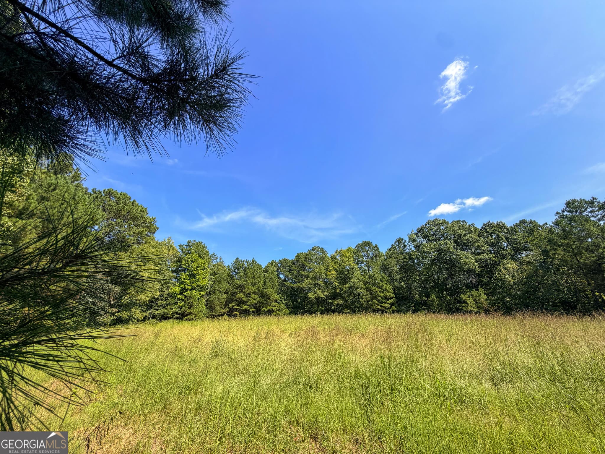 residential lot for sale at 1620 Cross Plains Hulett Road, Carrollton, GA 30116 — photo 3