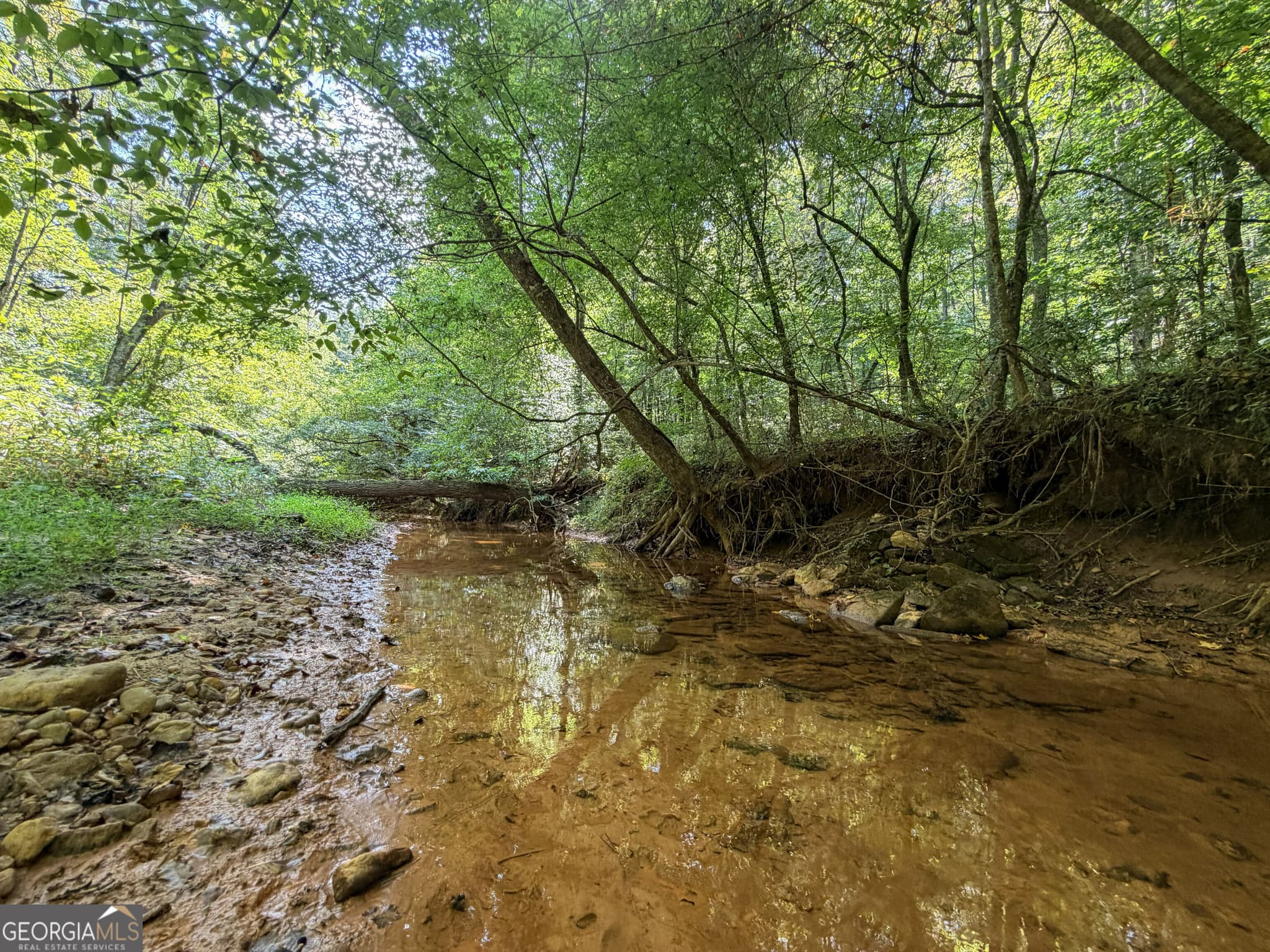 residential lot for sale at 1620 Cross Plains Hulett Road, Carrollton, GA 30116 — photo 9