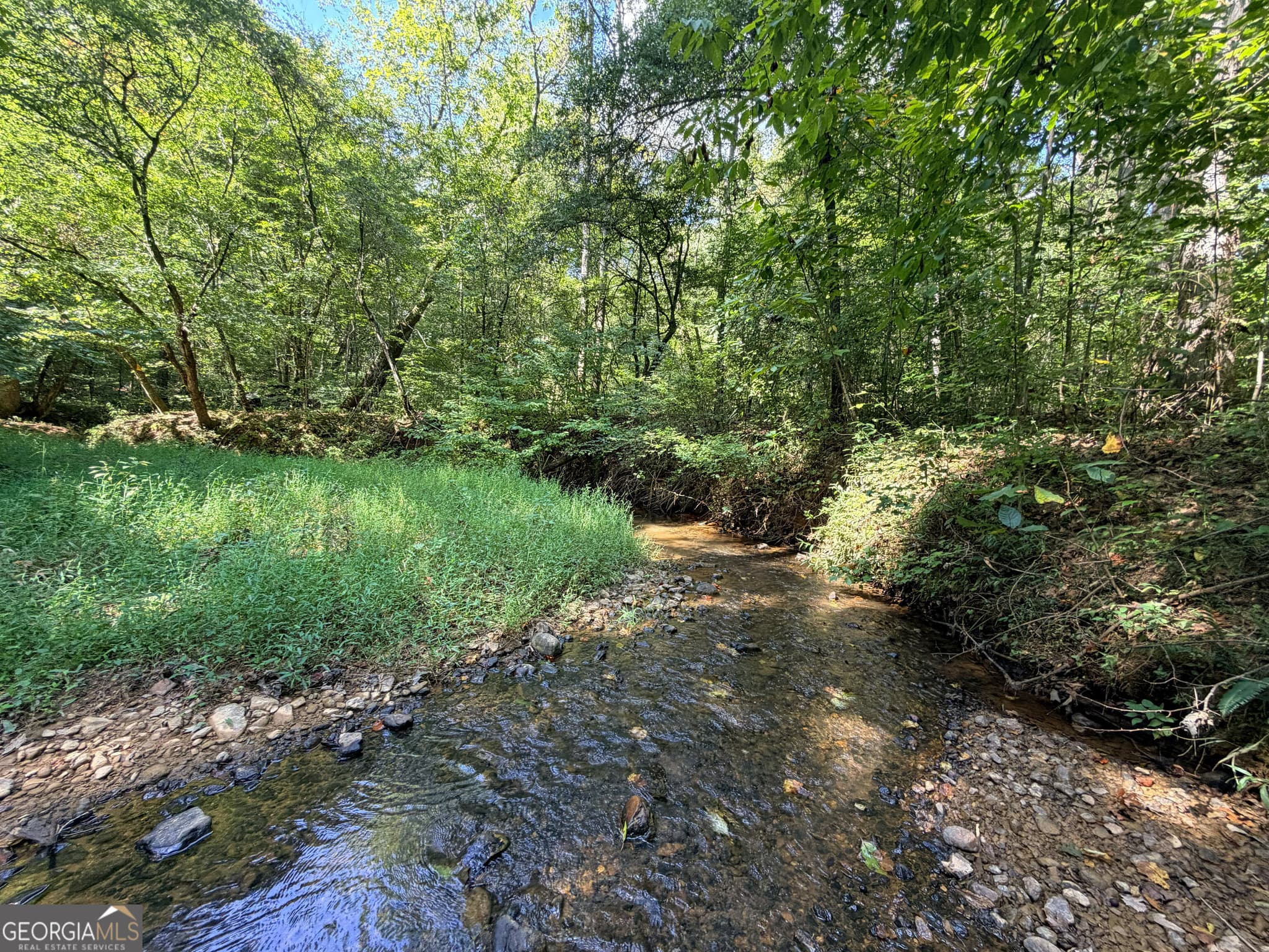 residential lot for sale at 1620 Cross Plains Hulett Road, Carrollton, GA 30116 — photo 10